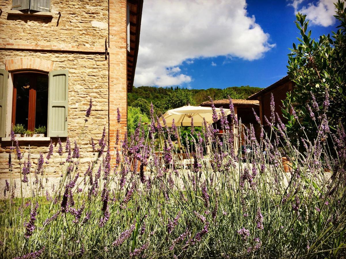 Il Cardello Locanda Casola Valsenio Kültér fotó
