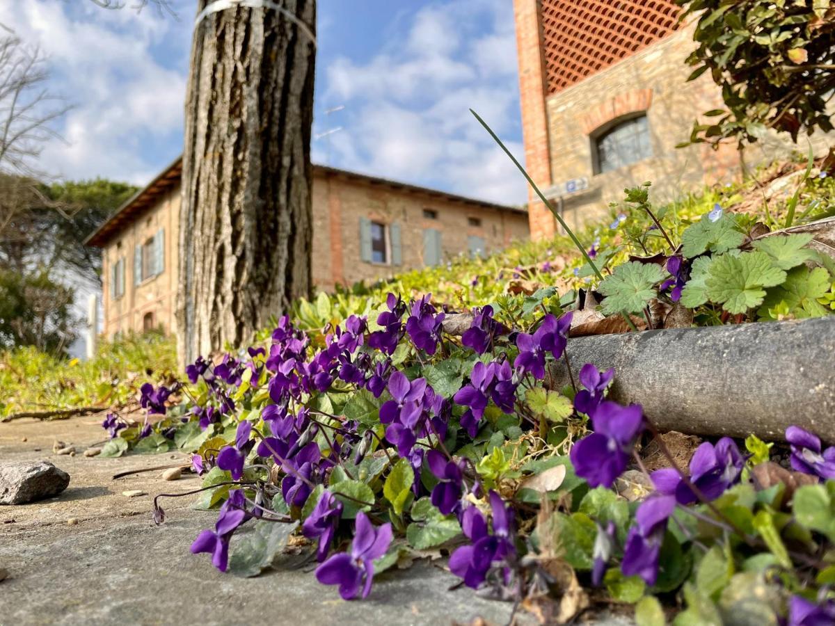 Il Cardello Locanda Casola Valsenio Kültér fotó